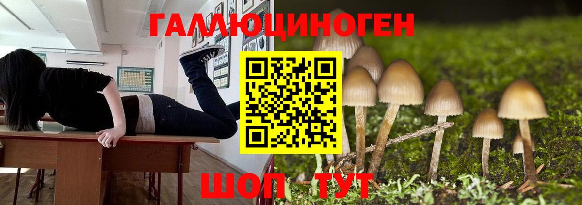 Псилоцибиновые грибы GOLDEN TEACHER  Вход с VPN  Саяногорск 